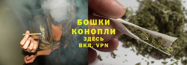 mdpv Богородск