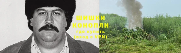 mdpv Богородск