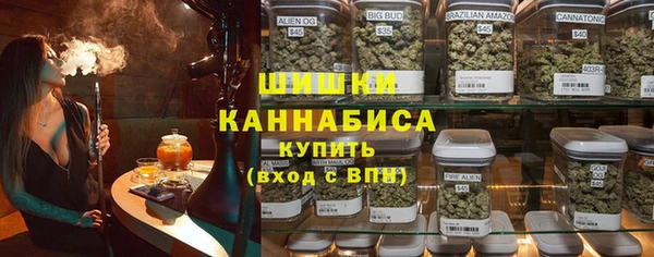 метадон Богданович