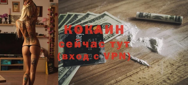 дмт Богородицк