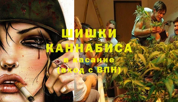 метадон Богданович