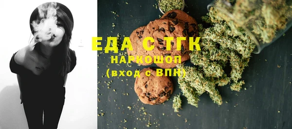 дмт Богородицк