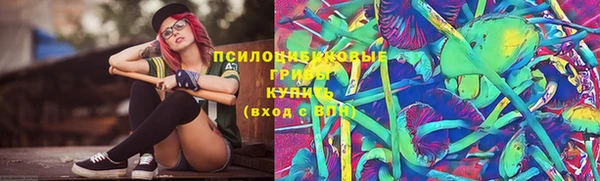 дмт Богородицк