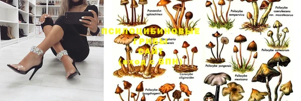 кокаин премиум Белокуриха