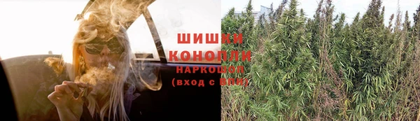 дмт Богородицк