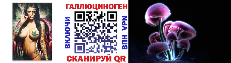 купить наркотики цена Харабали Псилоцибиновые грибы Psilocybe